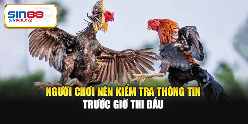 Người chơi nên kiểm tra thông tin trước giờ thi đấu