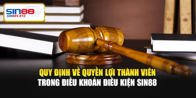 Quy định về quyền lợi thành viên trong điều khoản điều kiện Sin88